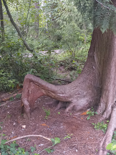 Park «Morrill Meadows Park», reviews and photos, 10600 SE 248th St, Kent, WA 98030, USA