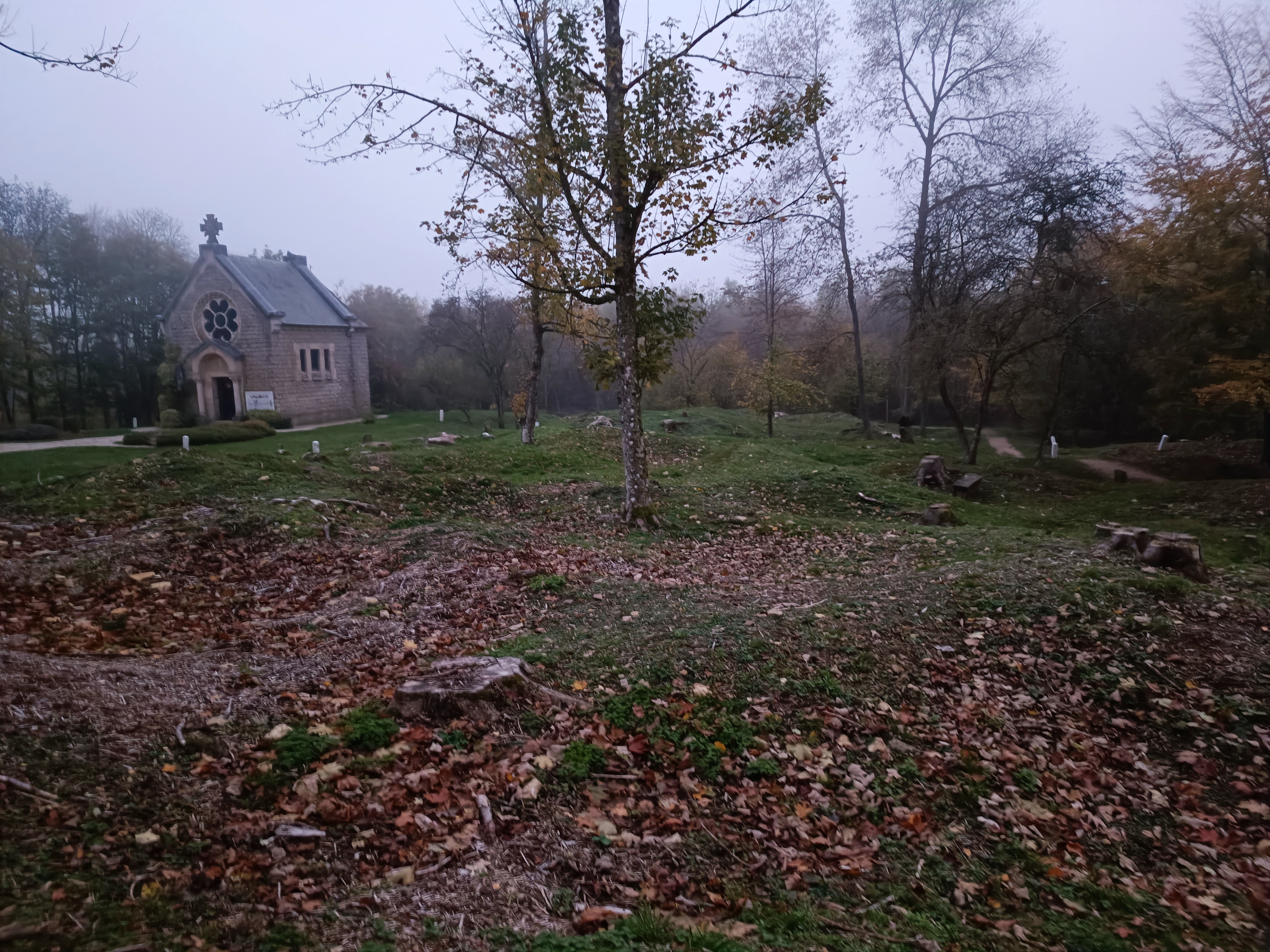 Photo n° 2 de l'avis de J. fait le 12/11/2022 à 17:27