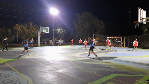 Club Handball La Calera