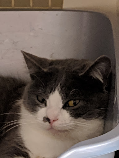 Pet Supply Store «Petco Animal Supplies», reviews and photos, 3284 Jefferson St, Napa, CA 94558, USA