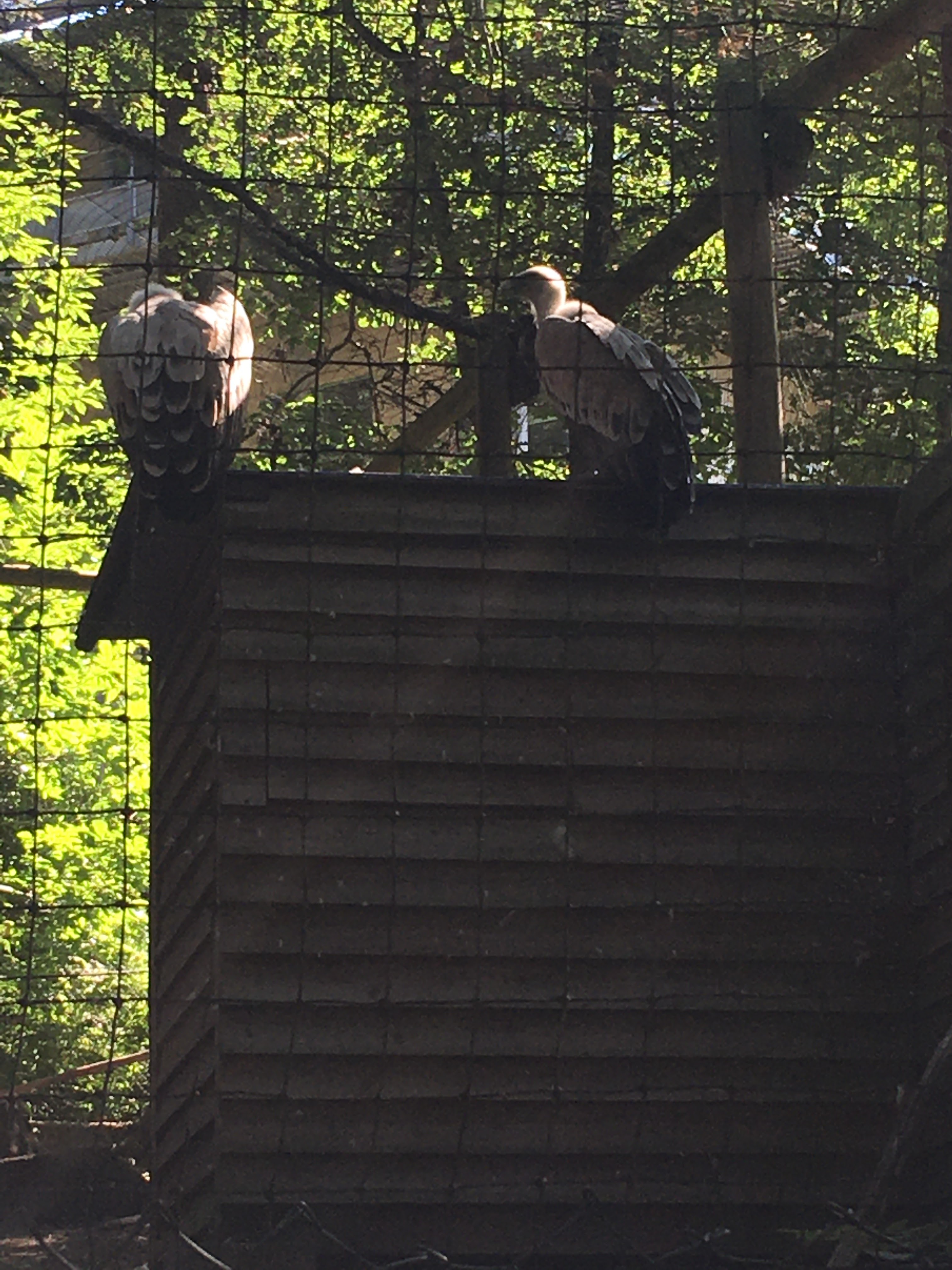 Photo n° 16 de l'avis de Kad.o fait le 12/07/2020 à 13:08