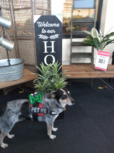 Craft Store «Hobby Lobby», reviews and photos, 2135 E Franklin Blvd, Gastonia, NC 28054, USA