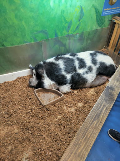 Aquarium «SeaQuest Interactive Aquarium», reviews and photos, 1201 N Hill Field Rd #1072, Layton, UT 84041, USA