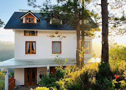 Hôtel Des Pins  Đà Lạt