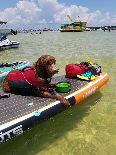 Surf Shop «BOTE Retail Store - Destin, FL», reviews and photos, 383 Harbor Blvd, Destin, FL 32541, USA