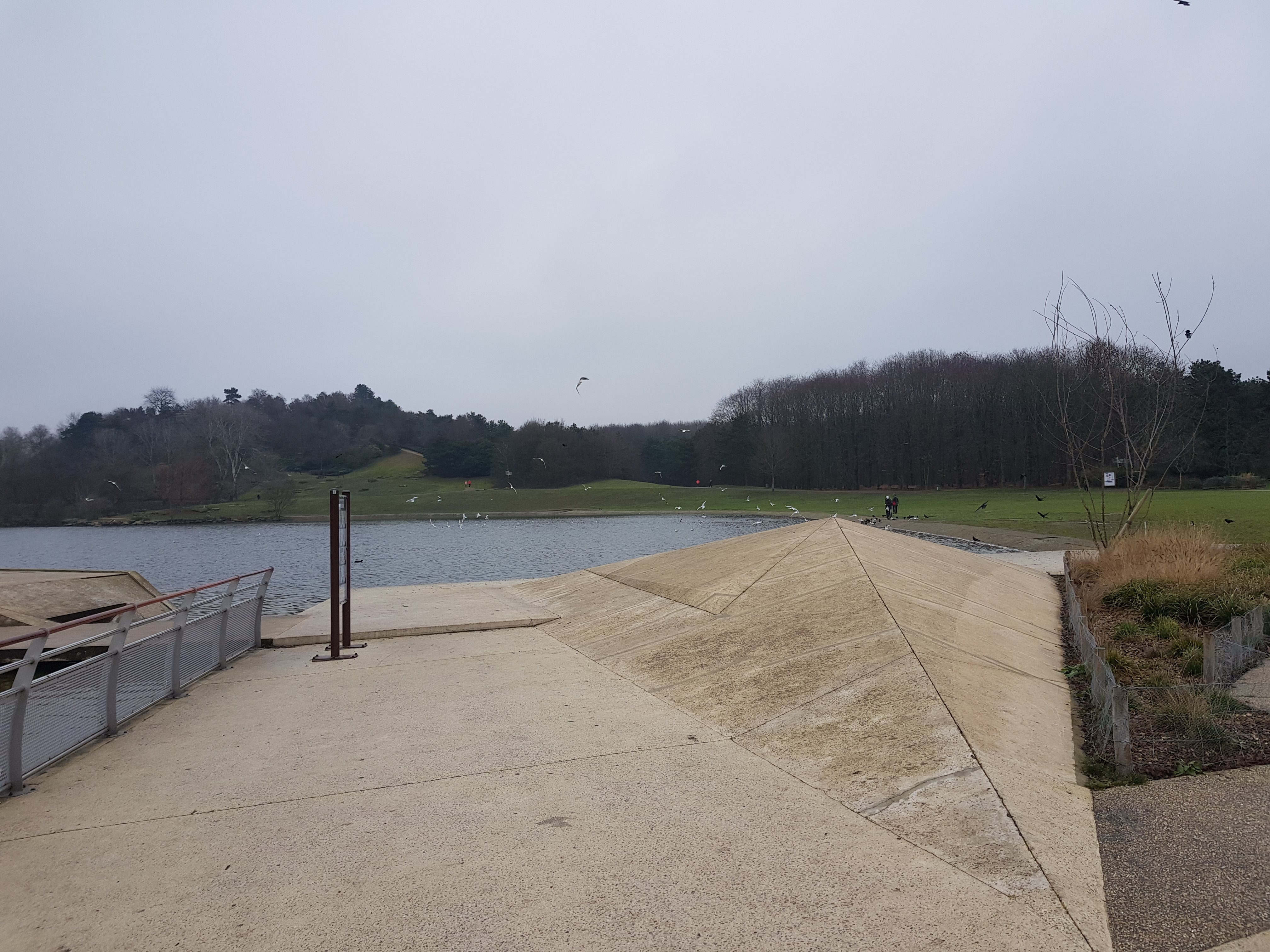 Photo n° 10 de l'avis de MICHELSON. fait le 20/01/2019 à 13:37