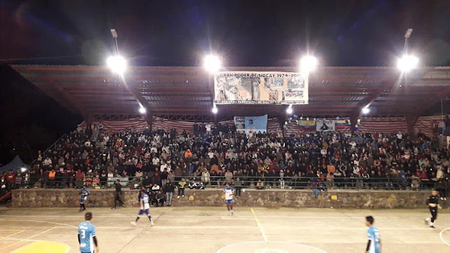 Estadio de Fútbol Indor - Campo de fútbol