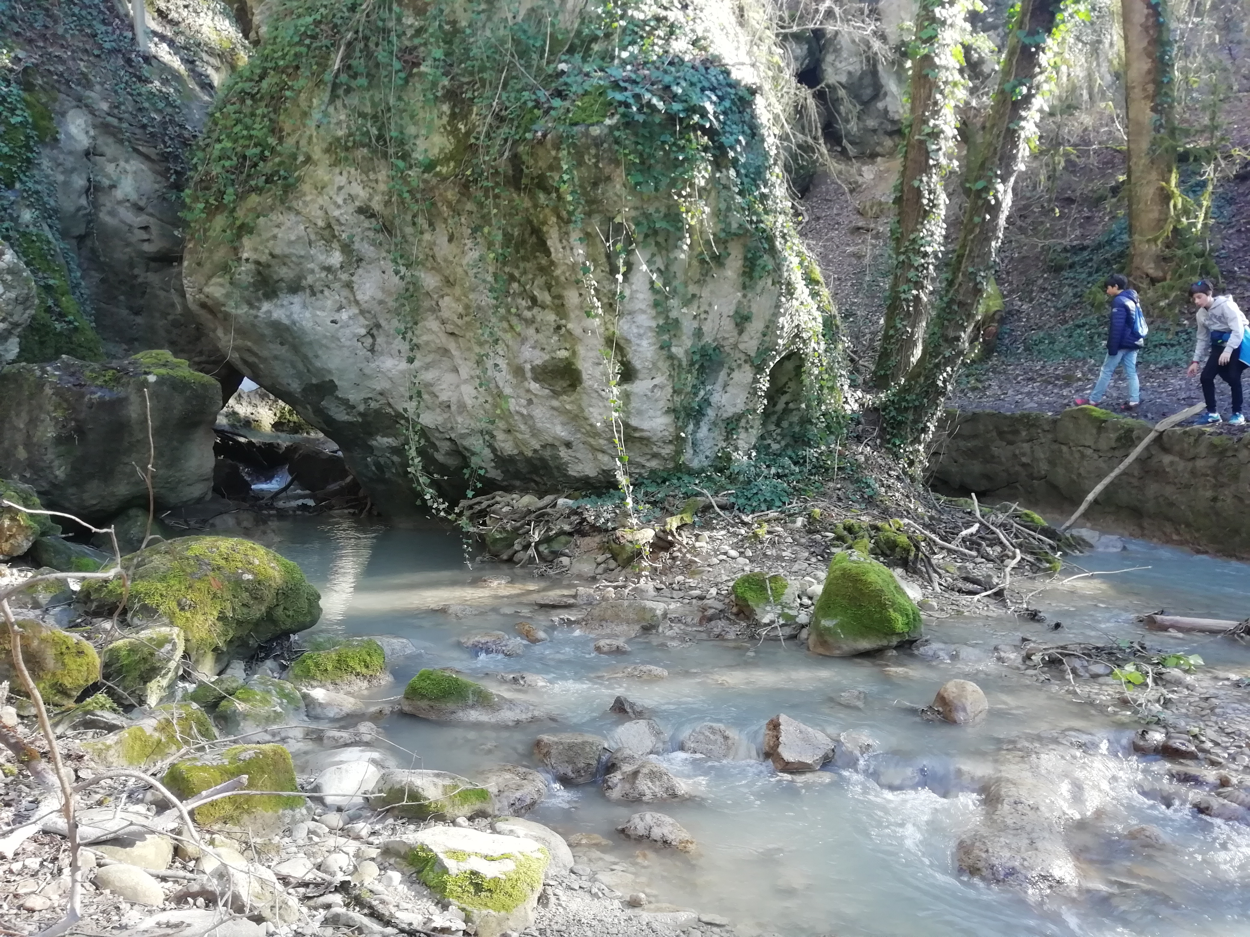 Photo n° 2 de l'avis de Patricia.u fait le 04/03/2020 à 13:47