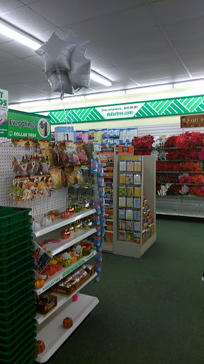 Dollar Store «Dollar Tree», reviews and photos, 951 Co Rd E East, Vadnais Heights, MN 55127, USA