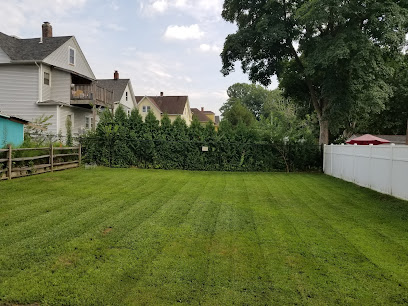 Seeing Is Believing Lawn Care