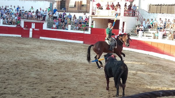 Asociación Recreativa Cultural Aldeana