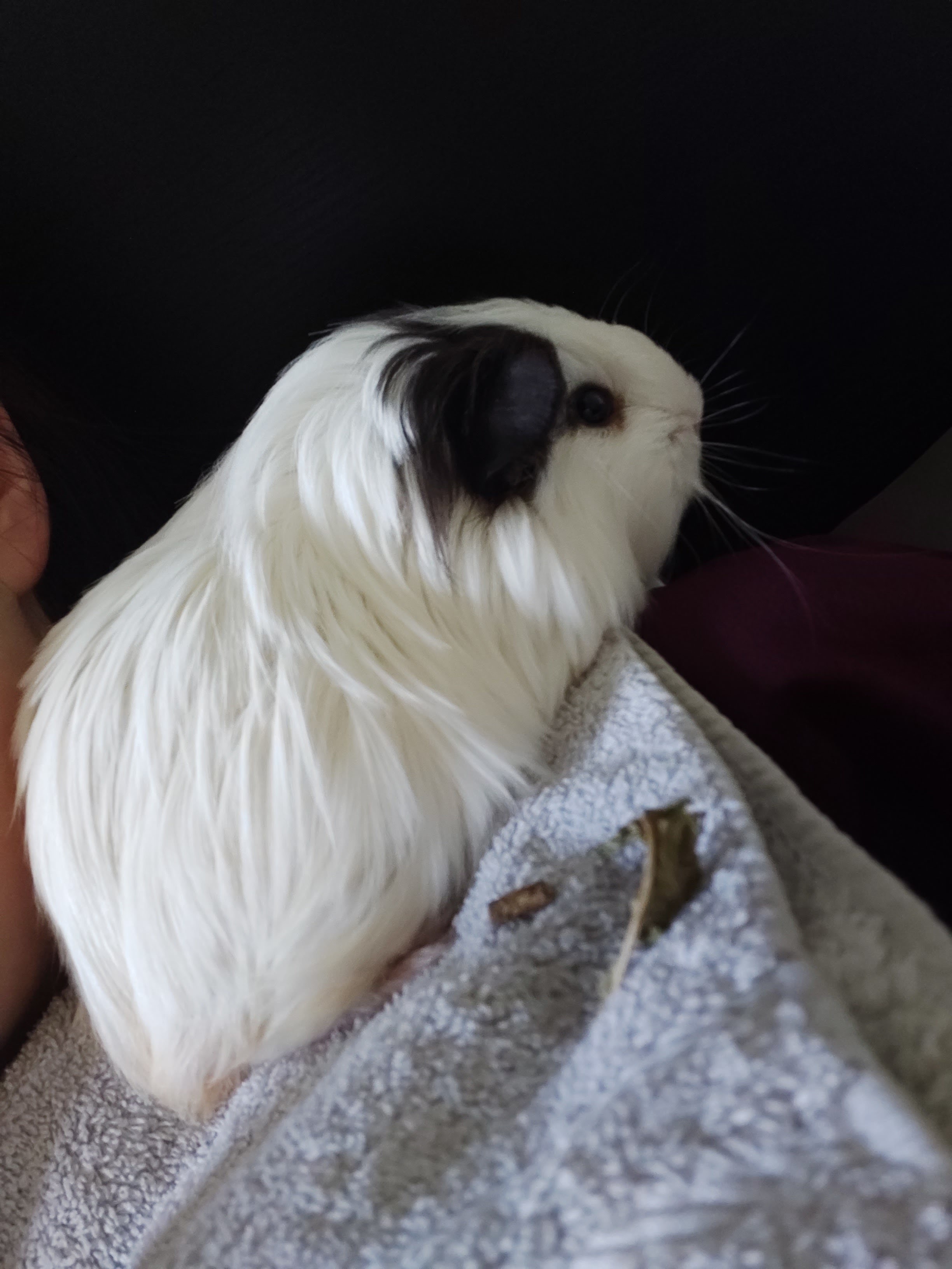 Photo n° 2 de l'avis de Erine.b fait le 03/09/2019 à 18:47