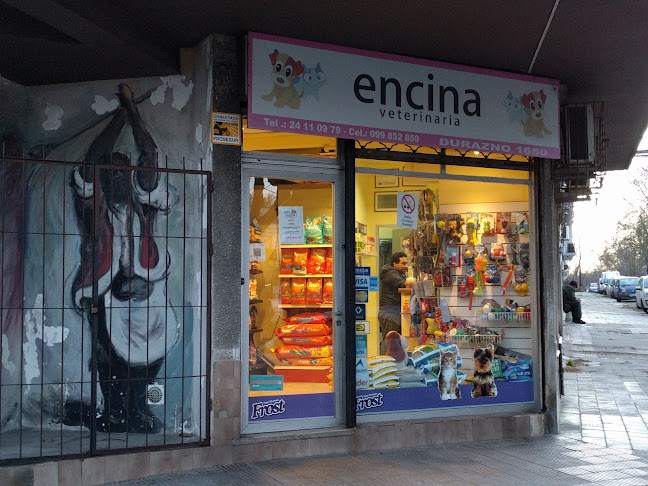 Veterinaria Encina - Veterinario