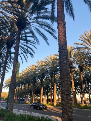 Shopping Mall «Anaheim GardenWalk», reviews and photos, 400 West Disney Way, Anaheim, CA 92802, USA