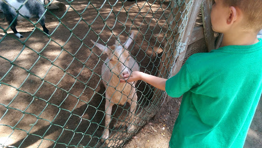 Zoo «Waccatee Zoological Farm», reviews and photos, 8500 Enterprise Rd, Myrtle Beach, SC 29588, USA