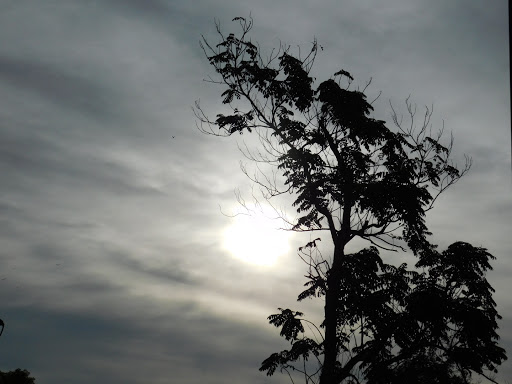 Park «Olympic Park», reviews and photos, 8601 SW 152nd Ave, Miami, FL 33193, USA