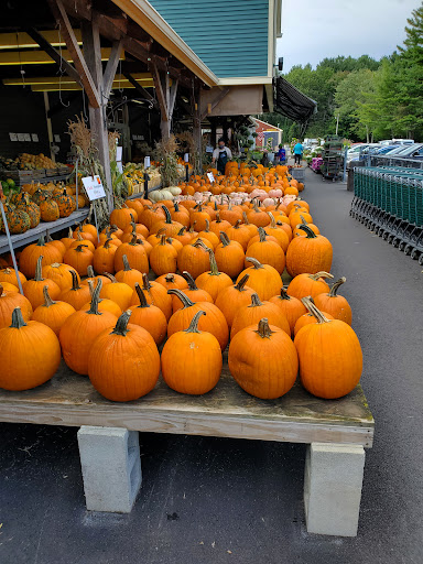 Produce Market «Idylwilde Farms», reviews and photos, 366 Central St, Acton, MA 01720, USA