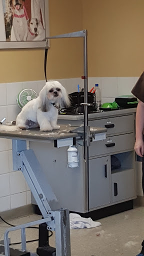 Shopping Mall «Glenbrook Shopping Center», reviews and photos, 1050 Glenbrook Way, Hendersonville, TN 37075, USA