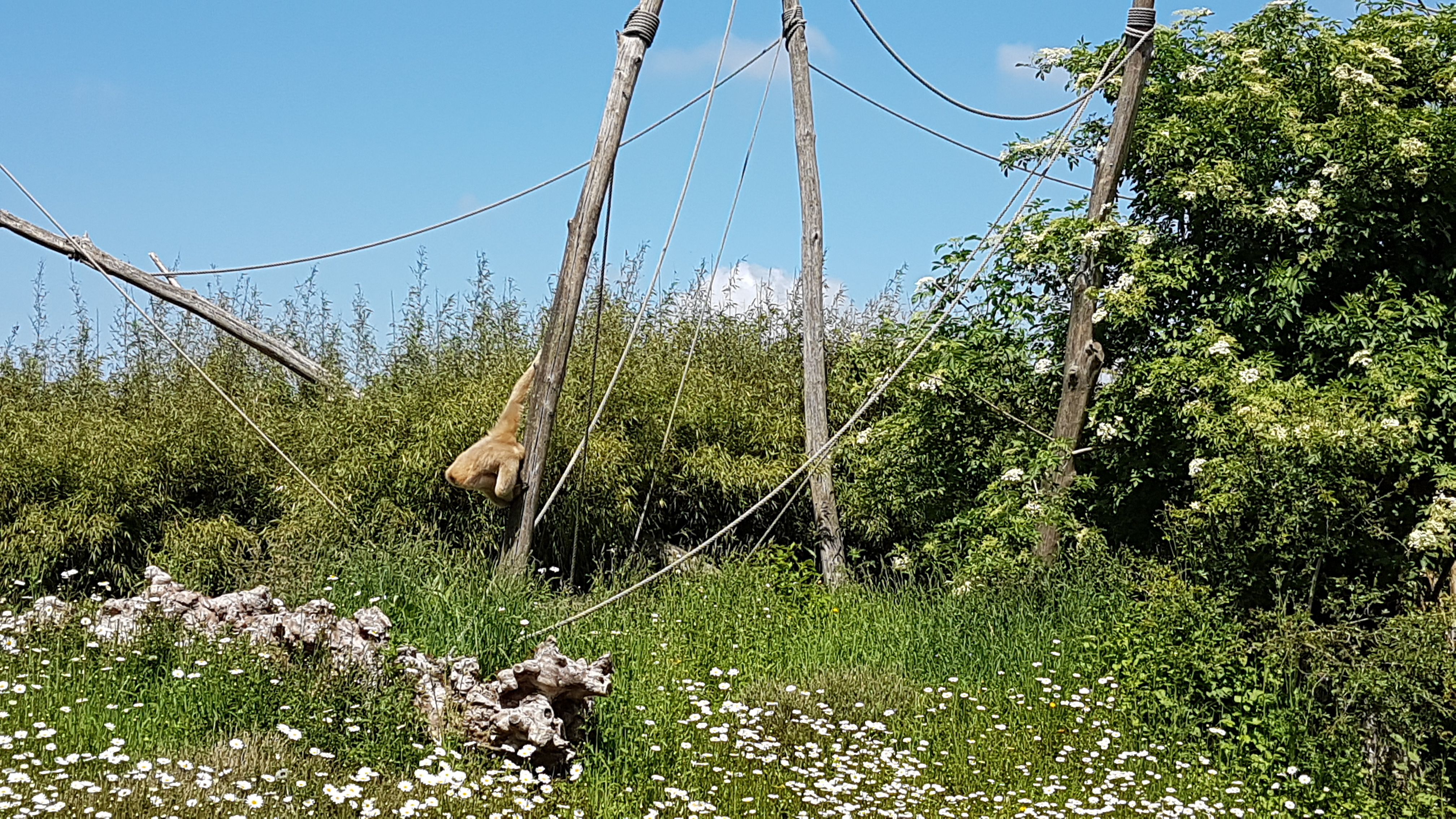 Photo n° 37 de l'avis de Dominique.A fait le 21/05/2019 à 20:35