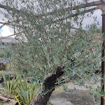 Photo n° 11 de l'avis de Tycha.a fait le 15/10/2023 à 08:19 pour Jérôme NOUZIERES à Belmont-Bretenoux