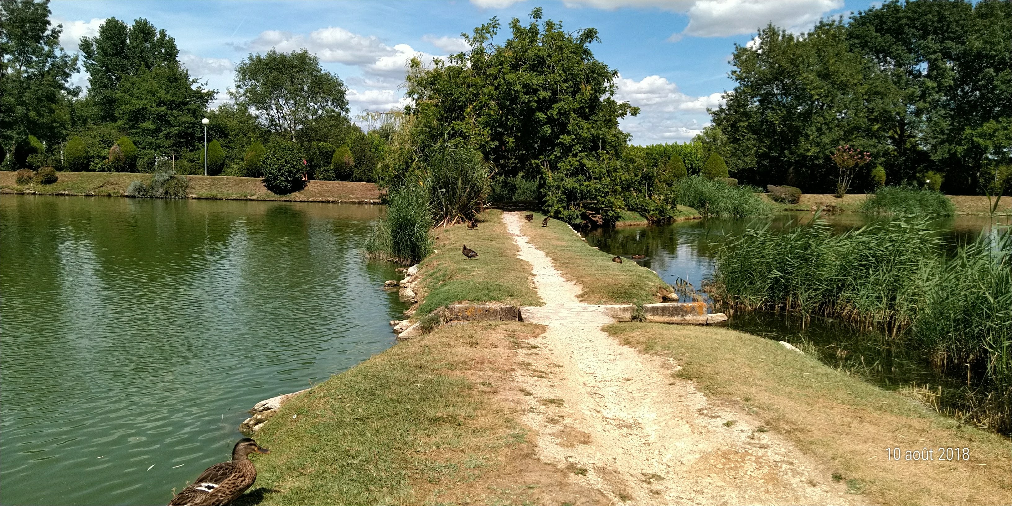 Photo n° 15 de l'avis de Famille.o fait le 13/08/2018 à 15:50