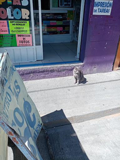 Papelería y Centro de Copiado 