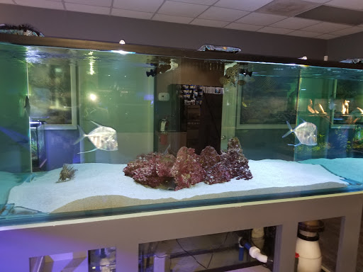 Aquarium «Aquatica», reviews and photos, 800 Clanton Rd H, Charlotte, NC 28117, USA