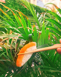 Photo n°55 de Private Sushi à Clermont-Ferrand ()