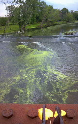Nature Preserve «Captain Daniel Wright Woods Forest Preserve», reviews and photos, 24830 N St Marys Rd, Mettawa, IL 60045, USA