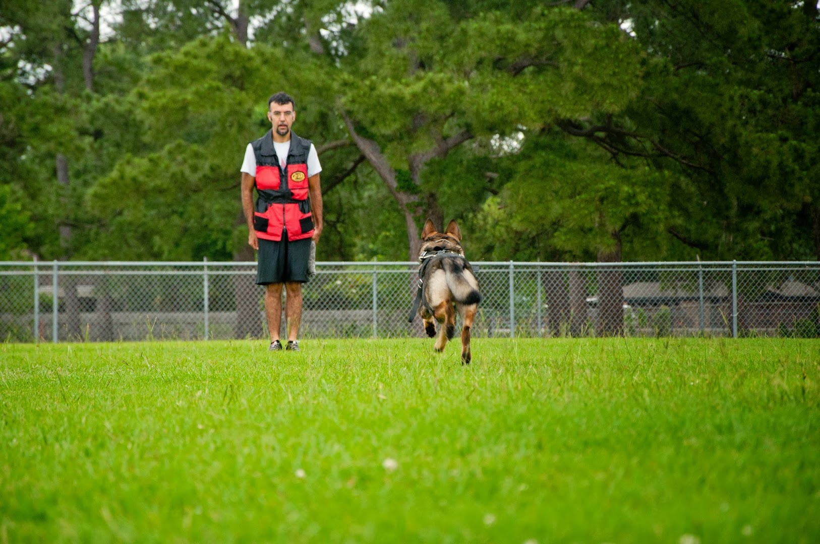 Longoriahaus Dog Training