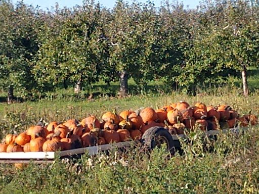 Winery «Apple Barn Orchard & Winery», reviews and photos, W6384 Sugar Creek Rd, Elkhorn, WI 53121, USA