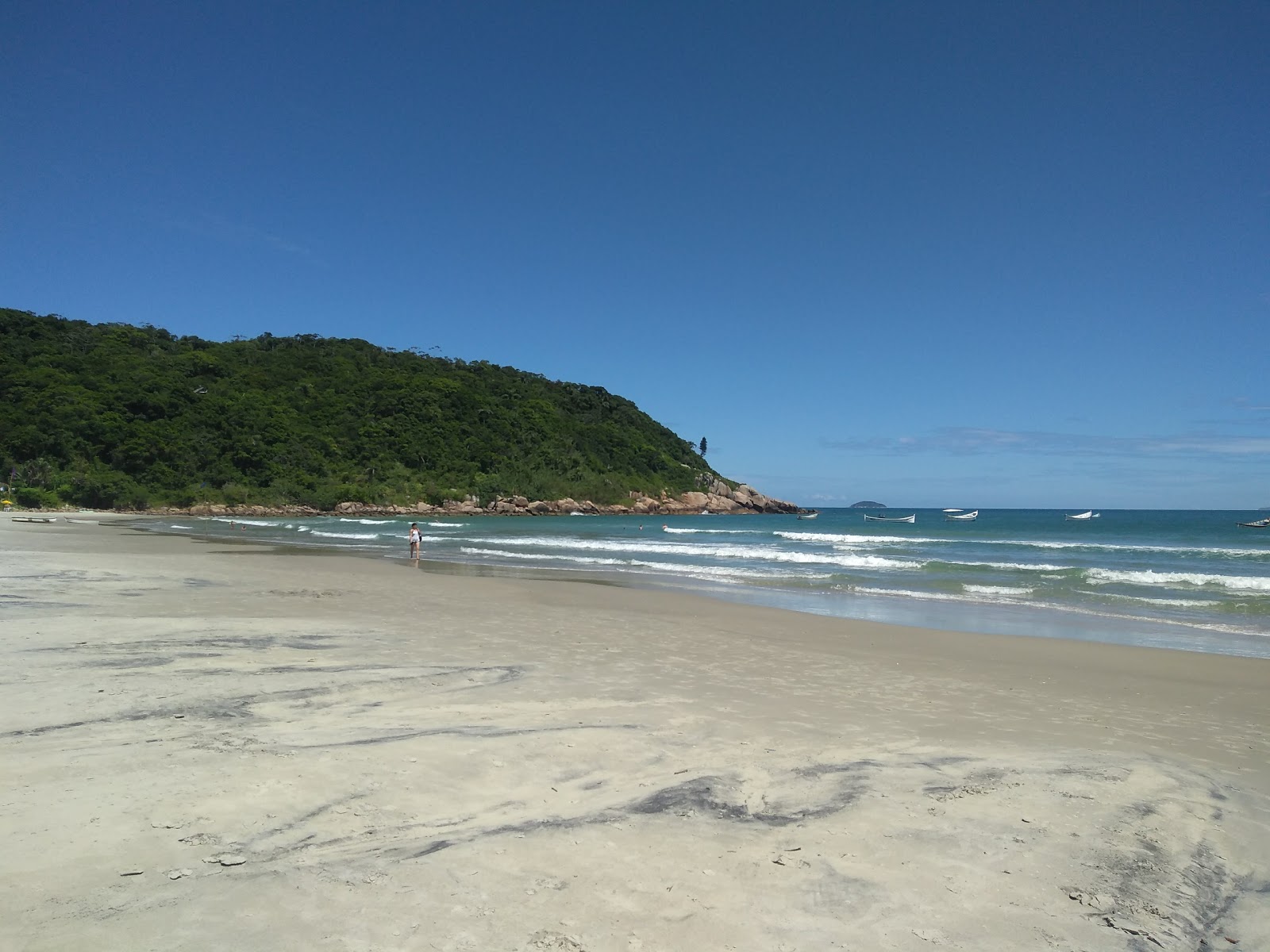Praia de Naufragados的照片 具有非常干净级别的清洁度