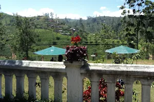 Grand Peak Tea Garden Hotel image