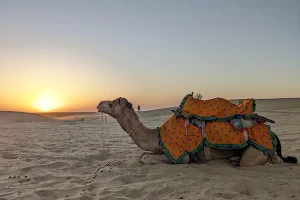 Camel Ride Point image