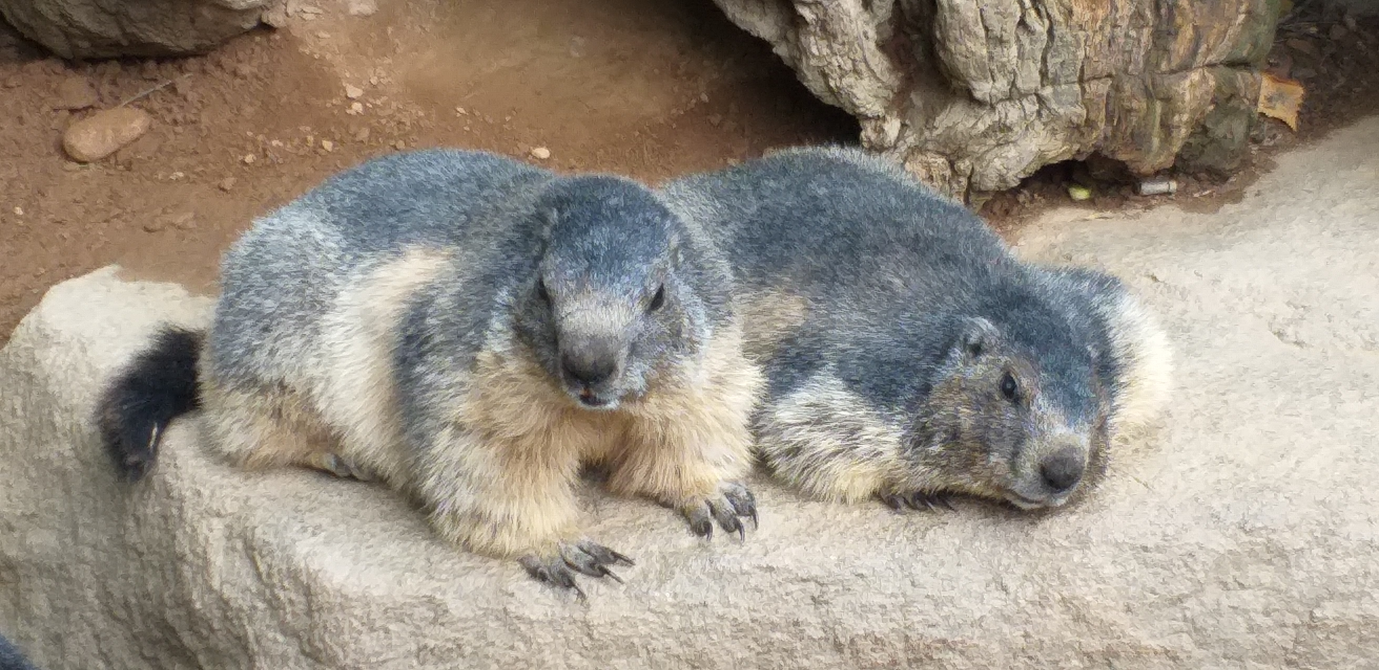 Photo n° 1 de l'avis de Caroline.e fait le 11/08/2019 à 21:48