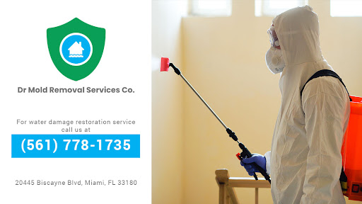 (c) Dr-mold-removal-services-co.business.site