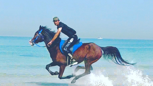 Dubai desert horse ride experience