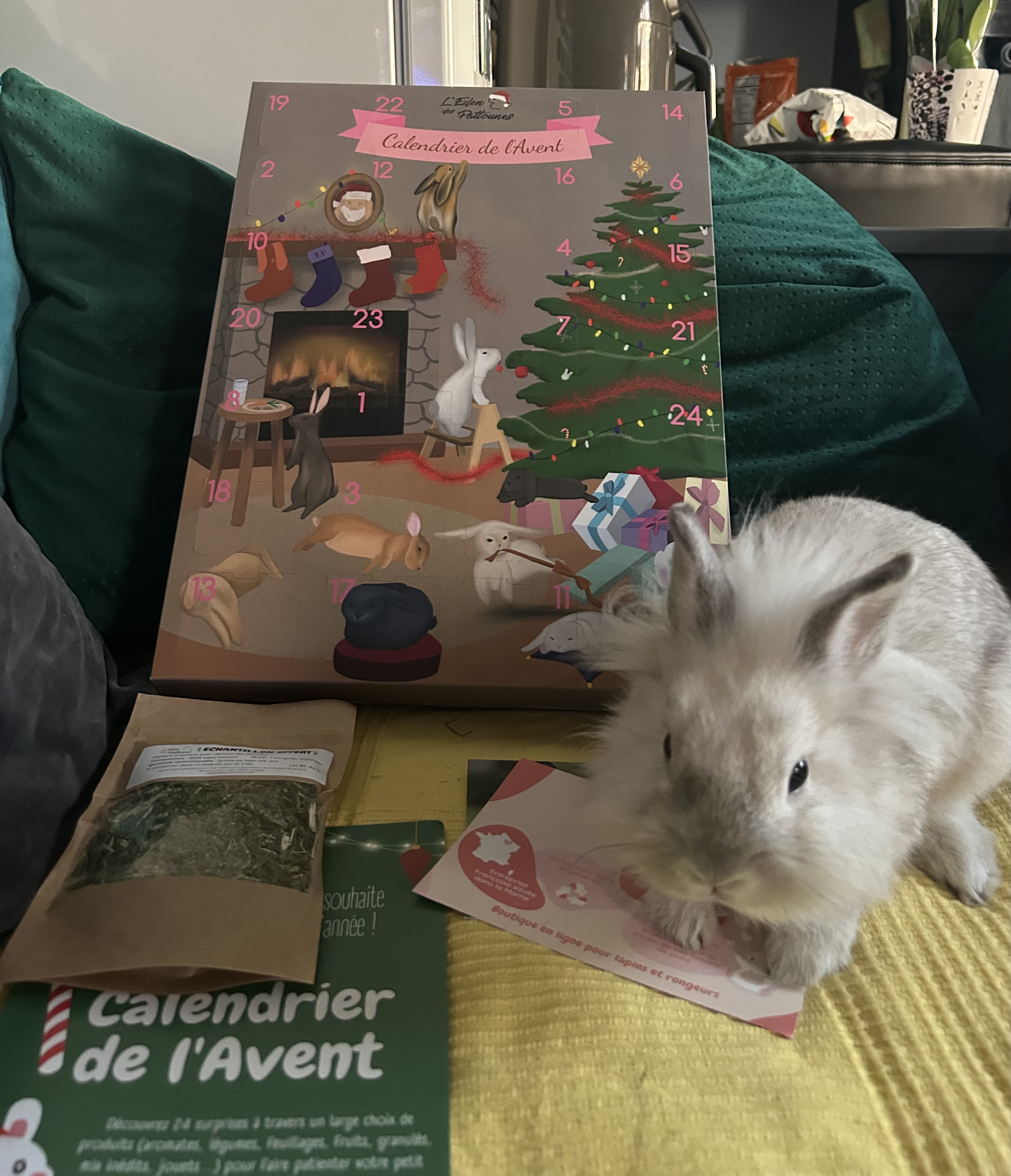 Photo n° 1 de l'avis de Manon.e fait le 18/10/2023 à 13:42
