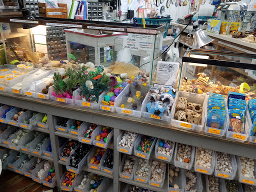 Gift Shop «Sea Shell Shop», reviews and photos, 119 Rehoboth Ave, Rehoboth Beach, DE 19971, USA