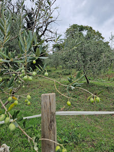 Azienda Agricola Grinovero Via Castelmonte, 14, 33043 Cividale del Friuli UD, Italia