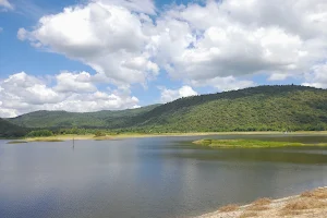 Kariyakoil Dam - Pappanaikenpatti image