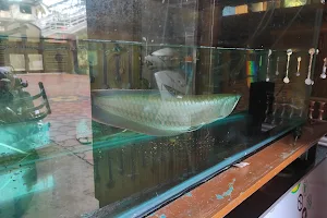 Kashi Aquarium Shop image