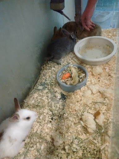 Pet Supply Store «College Greens Pet Center», reviews and photos, 3311 Julliard Dr # A, Sacramento, CA 95826, USA