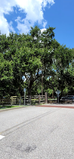 Nature Preserve «Lake Hiawatha Preserve», reviews and photos, 450 12th St, Clermont, FL 34711, USA