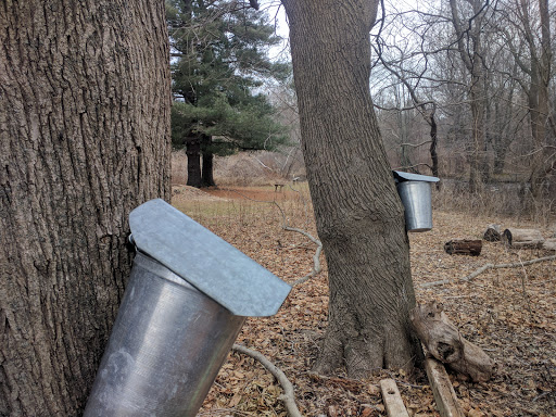 Park «Poricy Park Nature Center», reviews and photos, 345 Oak Hill Rd, Red Bank, NJ 07701, USA