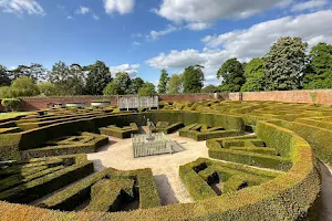 Marlborough Hedge Maze image