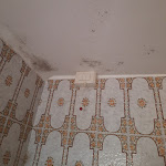 Photo n°1 de l'avis de Peter.a fait le 15/10/2023 à 14:22 sur le  Lake Maggiore Hotel Moderno à Premeno