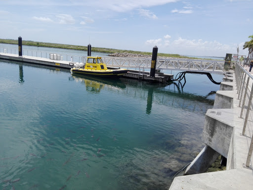 Marina «Fort Pierce City Marina», reviews and photos, 1 Avenue A, Fort Pierce, FL 34950, USA