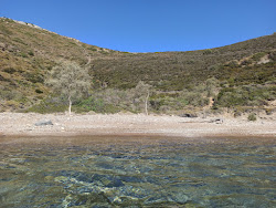 Elidaki Beach'in fotoğrafı vahşi alan