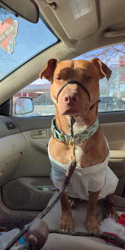 Pet Supply Store «Petco Animal Supplies», reviews and photos, 3380 124th Ave NW, Coon Rapids, MN 55433, USA